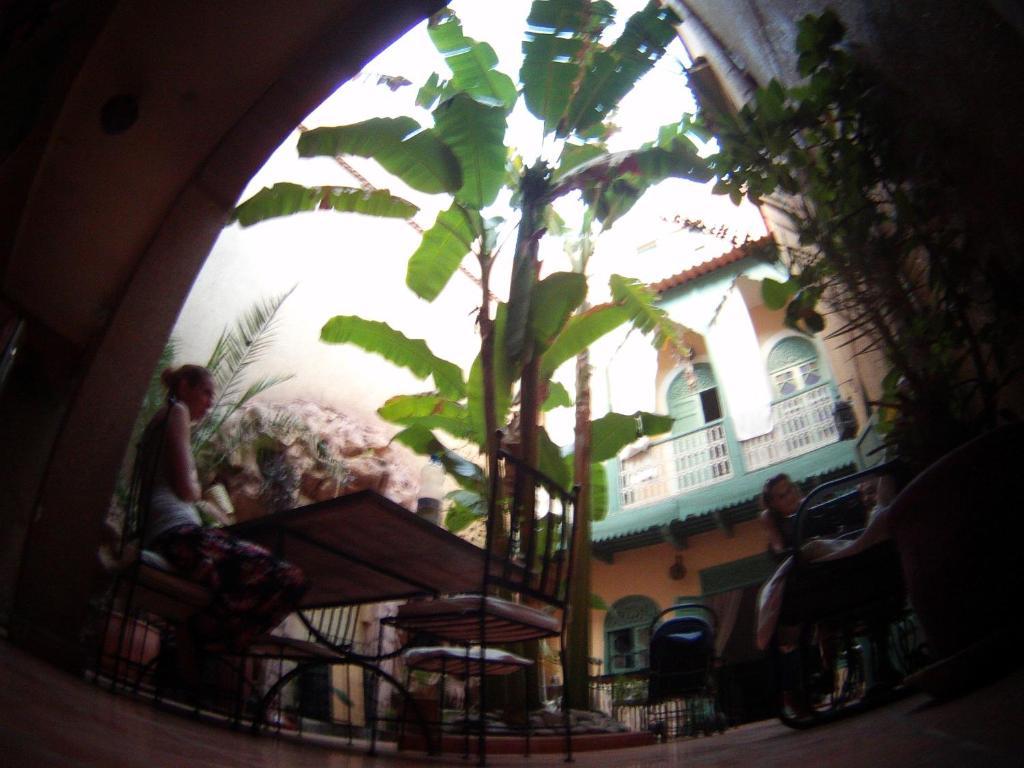 Riad Dar Mchicha Marrakesh Exterior photo