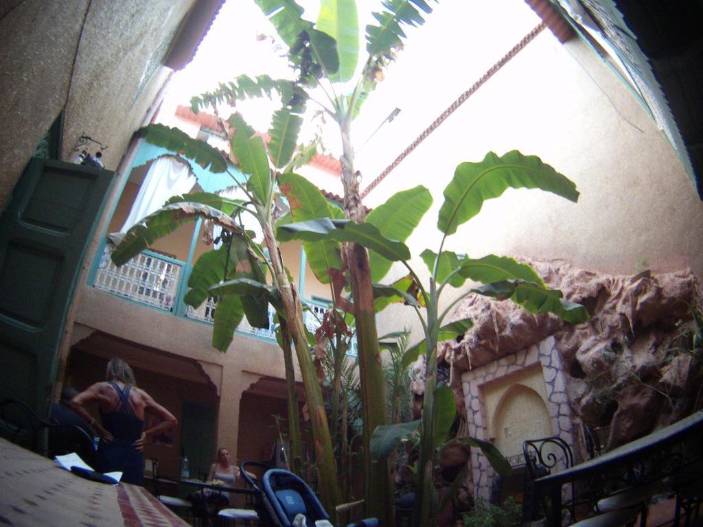 Riad Dar Mchicha Marrakesh Exterior photo